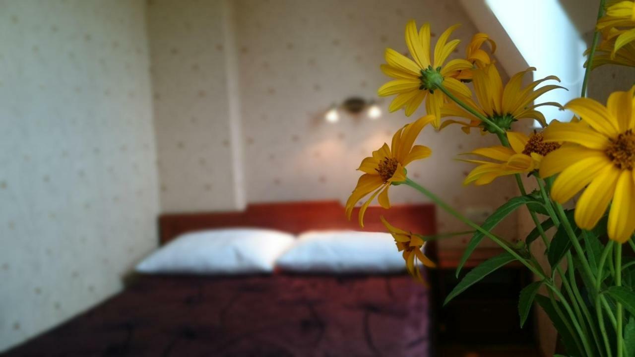 Villa Gracja Łeba Eksteriør bilde