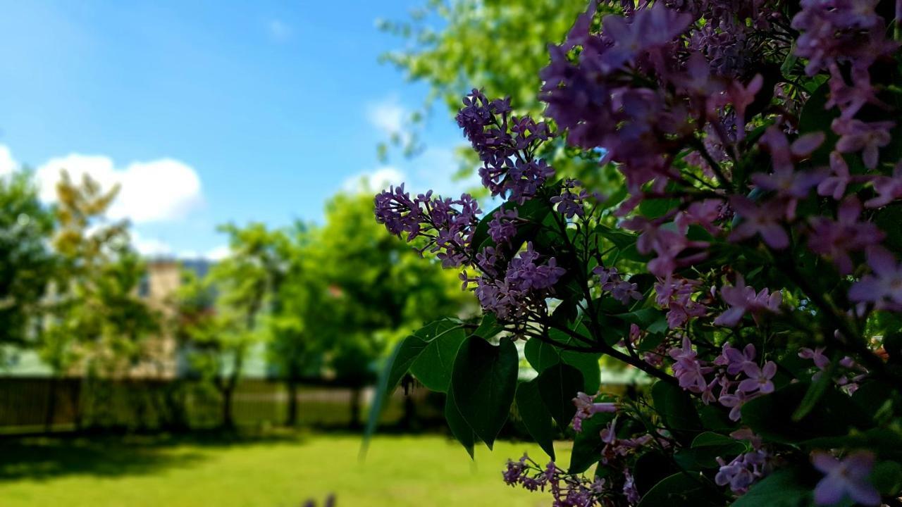 Villa Gracja Łeba Eksteriør bilde